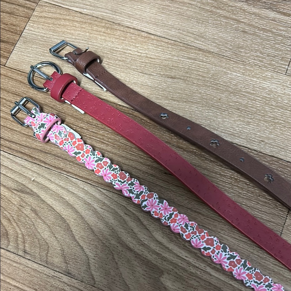 Cat & Jack Kids Belts - Brown, Red, Floral